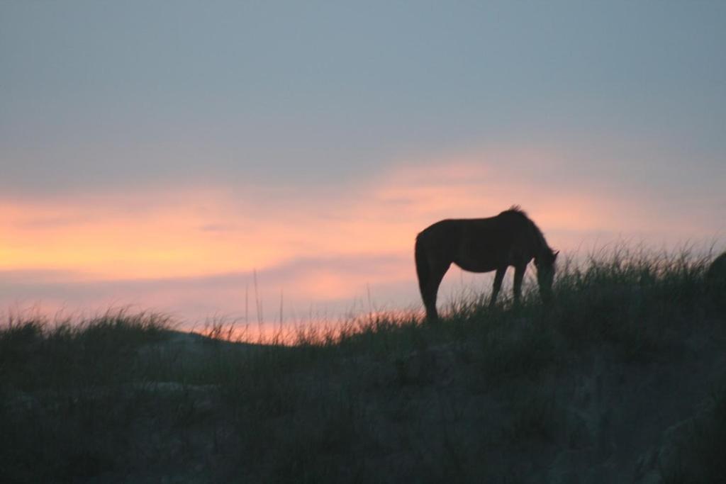 Obx Family Home With Pool - Pet Friendly - Close To Beach- Pool Open Late Apr Through Oct Corolla Eksteriør bilde